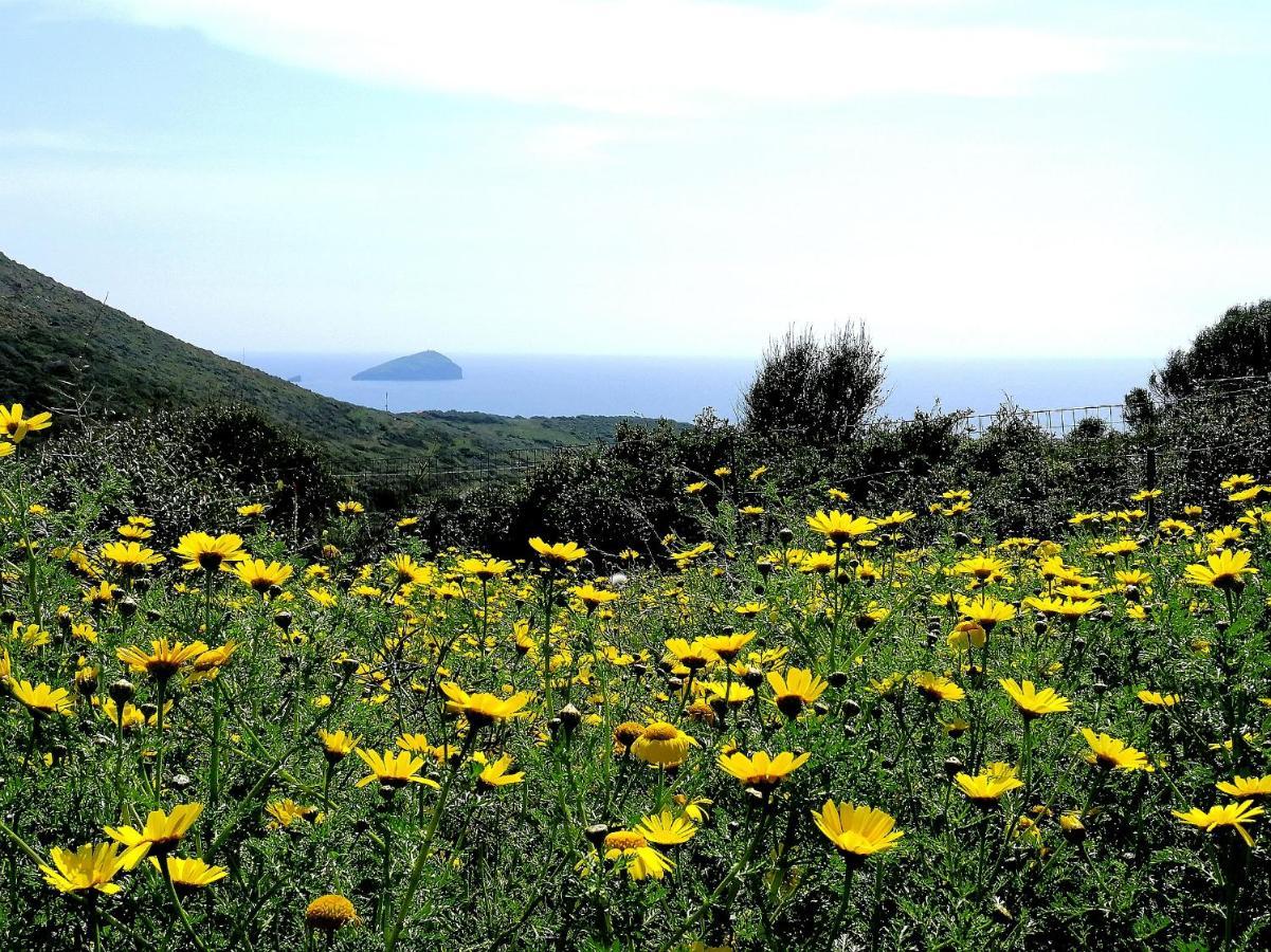 Agriturismo Glamping Erbe Matte SantʼAntìoco Buitenkant foto