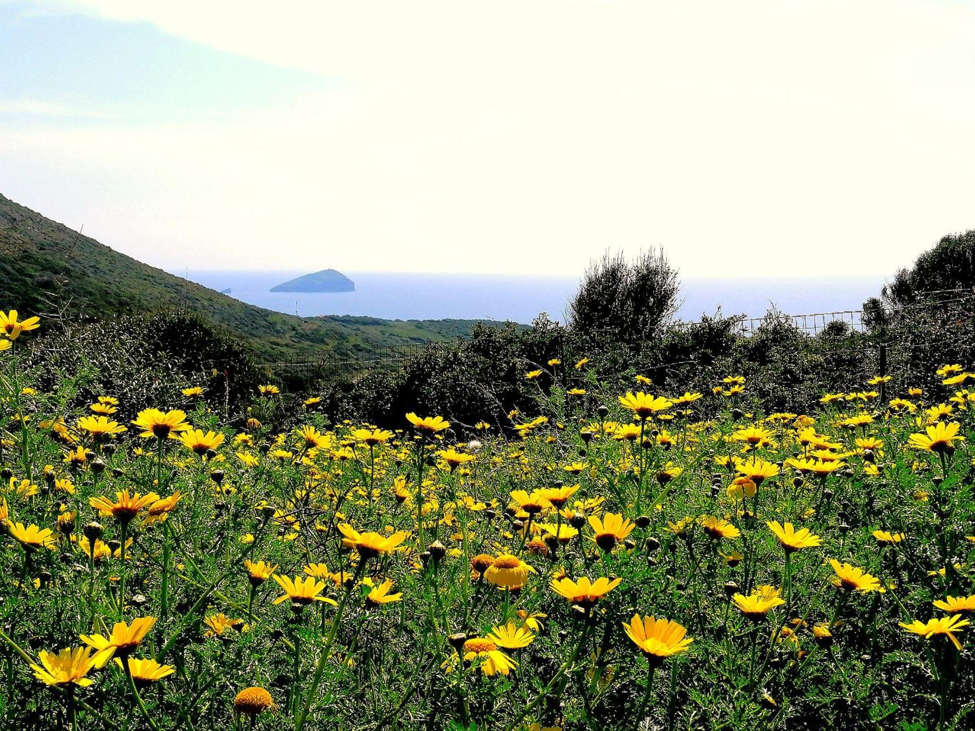 Agriturismo Glamping Erbe Matte SantʼAntìoco Buitenkant foto