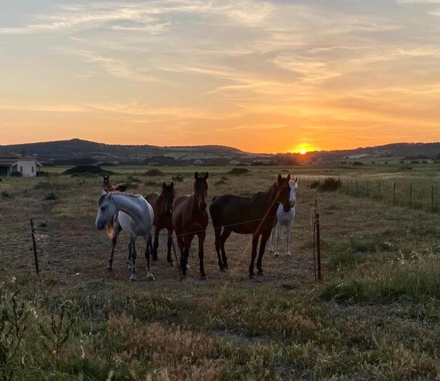 Agriturismo Glamping Erbe Matte SantʼAntìoco Buitenkant foto